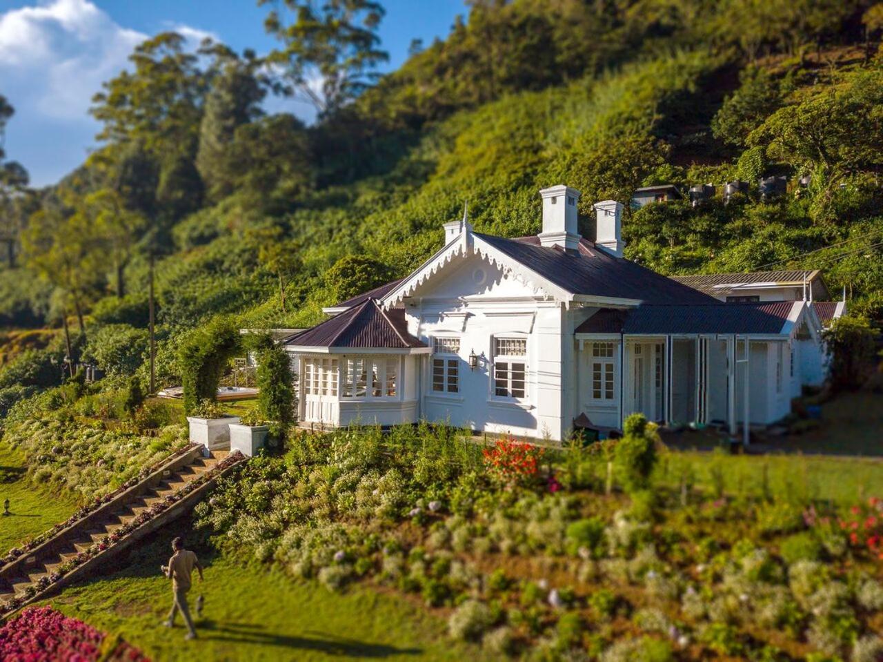 The Clovelly Bungalow Нувара Елия Екстериор снимка